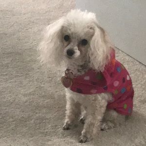 Meet your Posher, Jackie